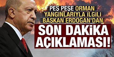 Orman yangınları sonrası Başkan Erdoğan'dan açıklama
