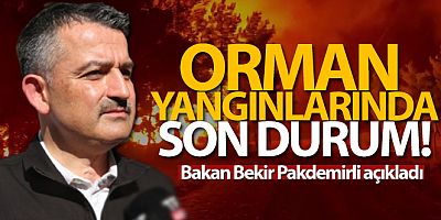 Orman yangınlarına ilişkin son durum!