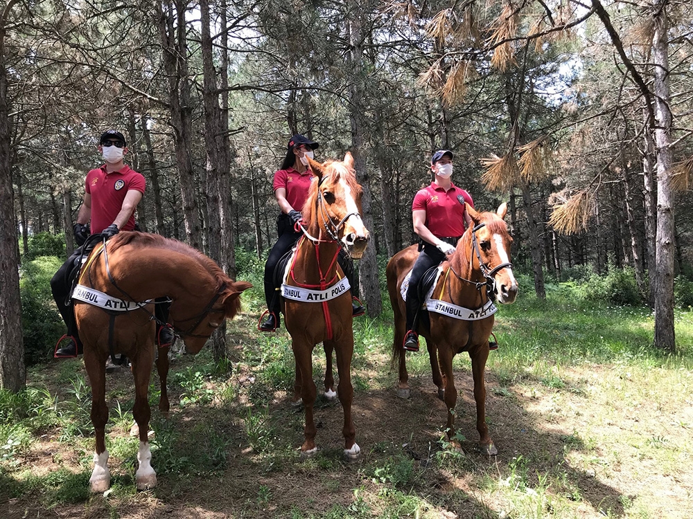 Orman yangınlarına yeni önlem “Doğa Devriyesi”