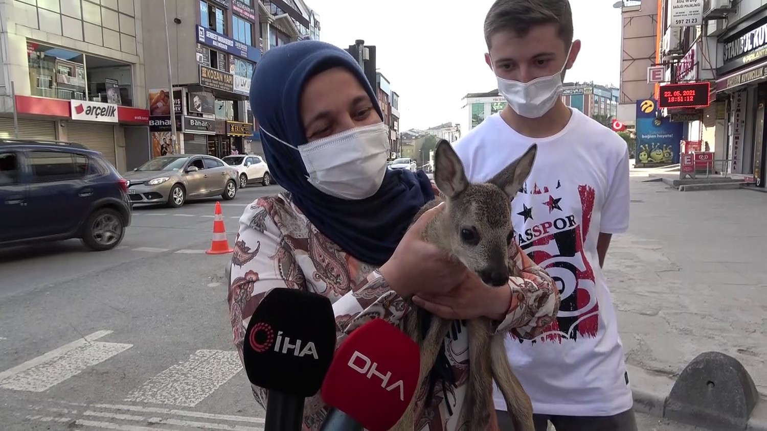 Ormanda ot toplamaya gitti, yavru karaca buldu