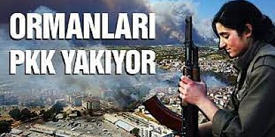 Ormanları PKK yaktırdı!.. 6 kişi yakalandı