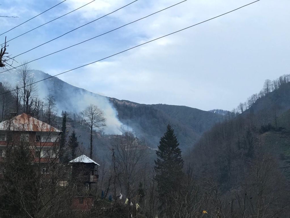 Örtü Yangınları Rizede De Başladı
