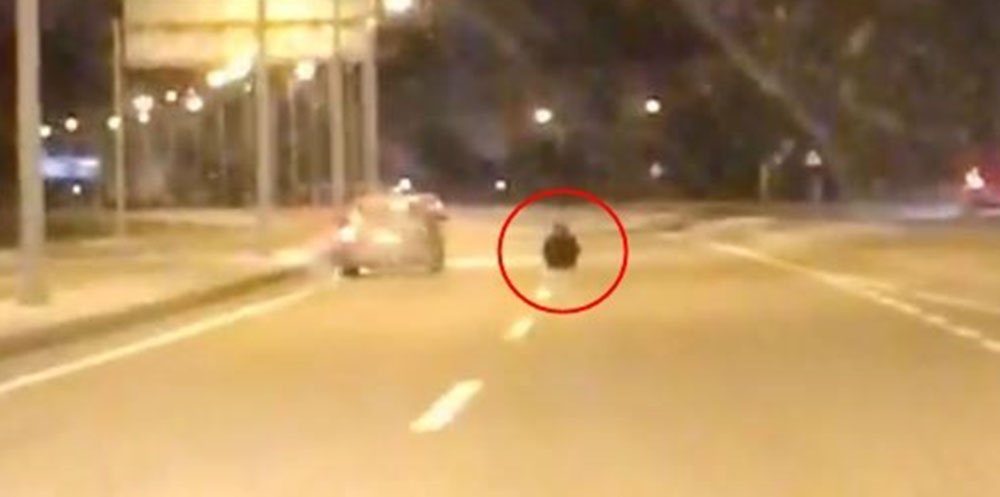 Otoyolda yol ortasına oturan kadın, ölüme davetiye çıkardı