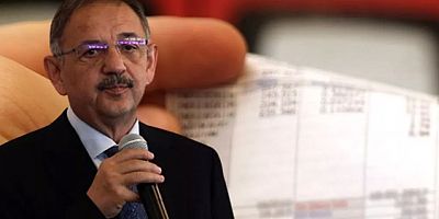 Özhaseki: Doğalgaz faturasının yüzde 75’ini devlet karşılıyor