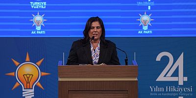 Özlem Çerçioğlu'nun kararının perde arkası..