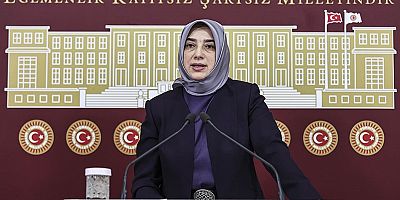 Özlem Zengin'den dikkat çeken 'erken seçim' açıklaması! Olası tarihi duyurdu...