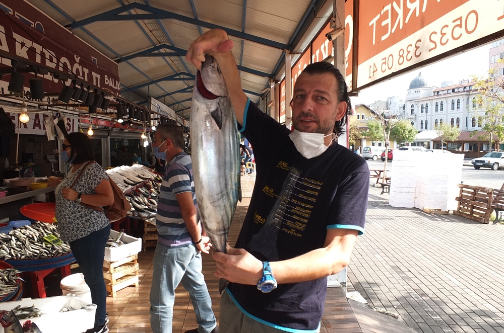 Palamut şov yapıyor