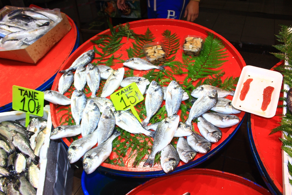 Palamut tezgahlara veda ediyor