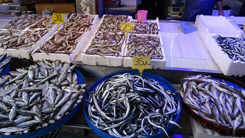 Pandemi balık fiyatlarını düşürdü