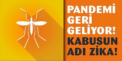 Pandemi geri geliyor! Yeni kabusun adı: Zika