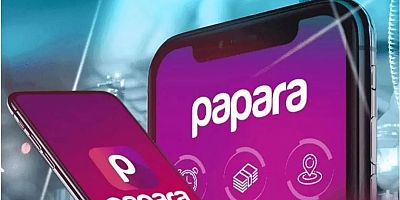 Papara'ya operasyonu başlatan MASAK raporunun detayları..