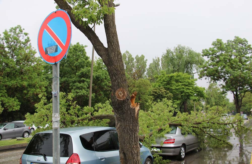 Park yasağı bulunan bölgeye park etti, aracının üstüne ağaç düştü