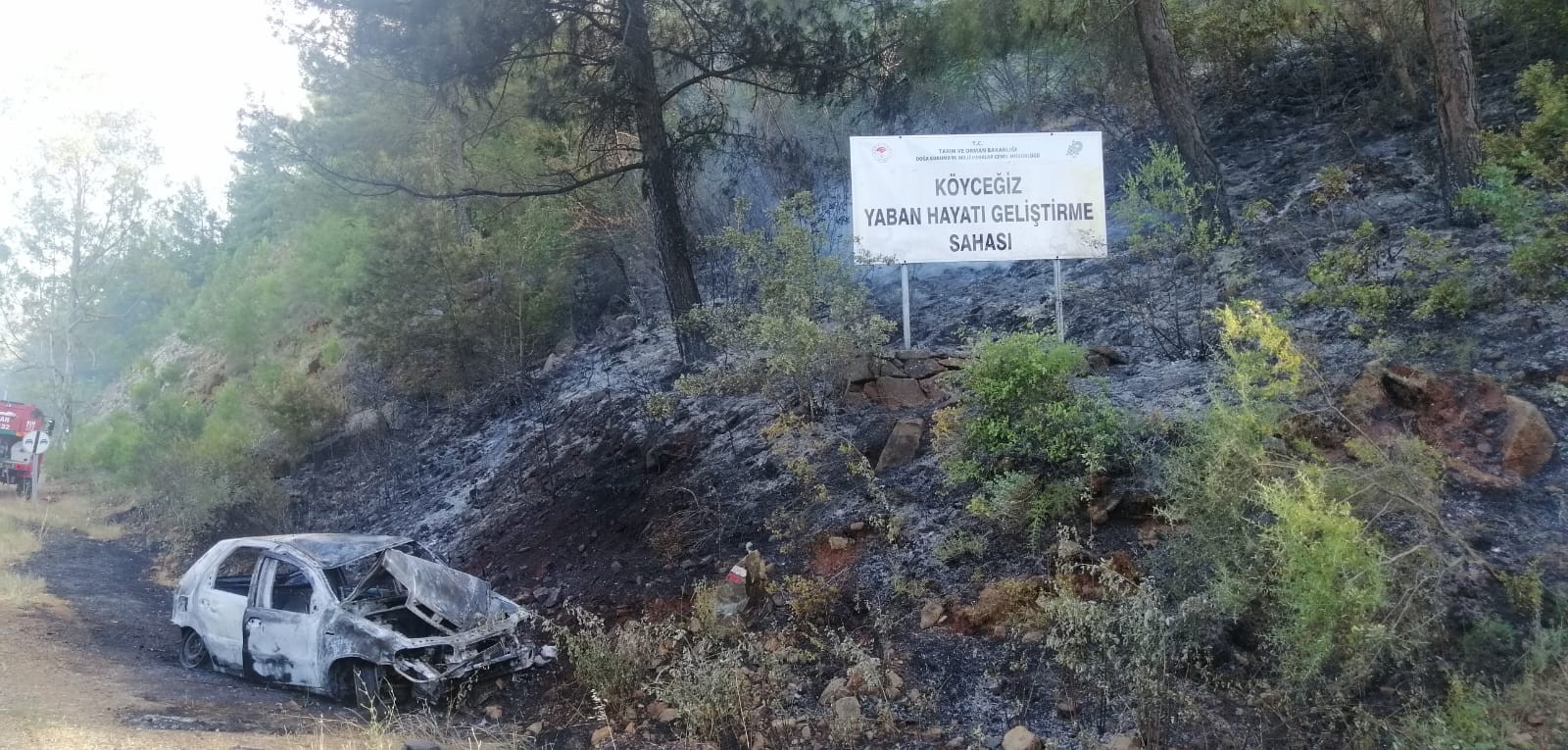 Patlayan araç orman yangınına sebep oldu
