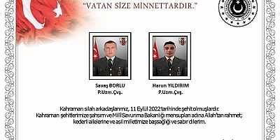 Pençe Kilit bölgesinde 2 askerimiz şehit oldu