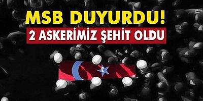 Pençe-Şimşek Harekat Bölgesinde 2 Asker Şehit Oldu