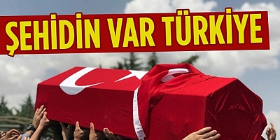 Pençe Yıldırım Harekat bölgesinde 1 asker şehit oldu