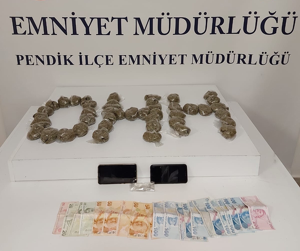 Pendik’te polis çam ağaçlarının altına gizlenmiş bonzai ele geçirdi