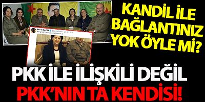 Pervin Buldan 'İlişkim yok