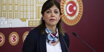 PKK'ya selam çakan HDP'li Beştaş'ın 'önerge yalanı' ortaya çıktı!