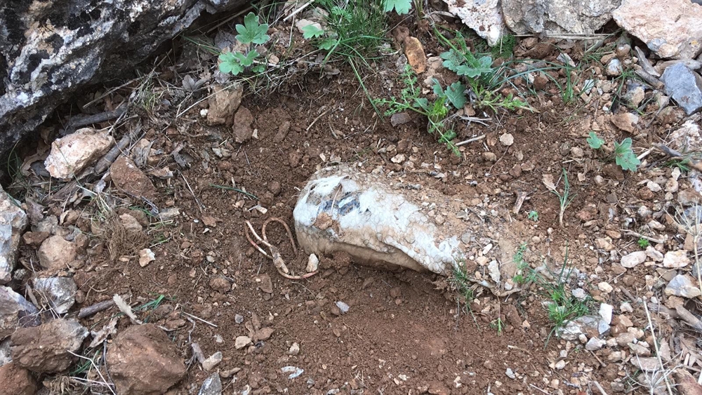 PKK’lı teröristlerce araziye tuzaklanan patlayıcı tespit edildi