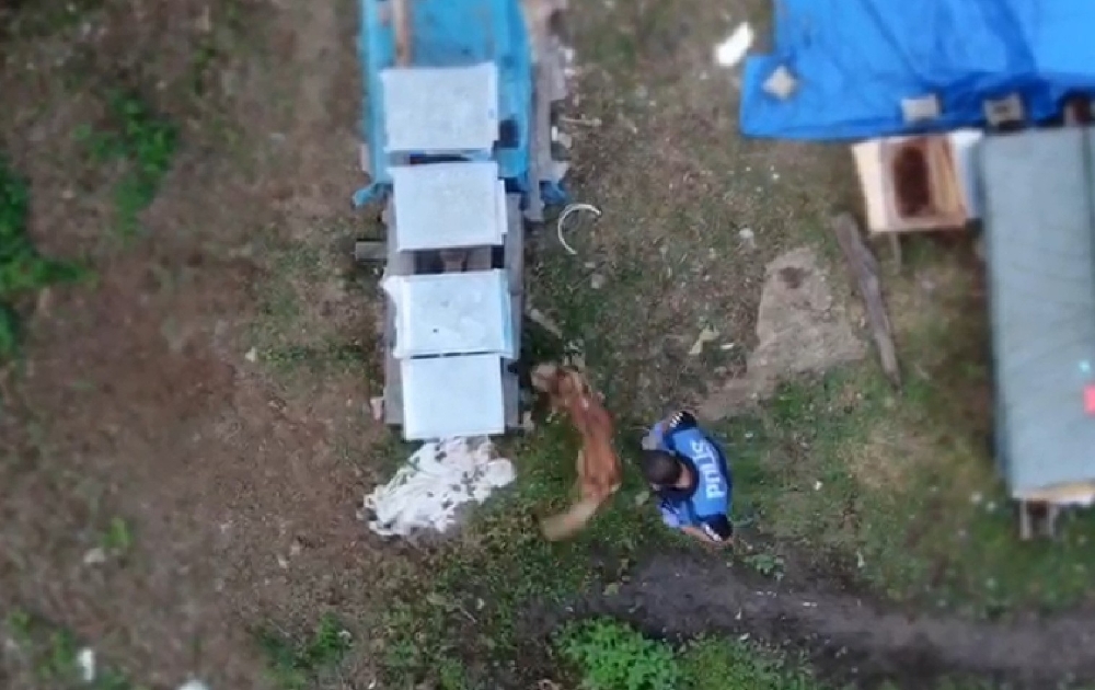 Polis drone ile takip edip arı kovanını içinde uyuşturucu ve silah ele geçirdi