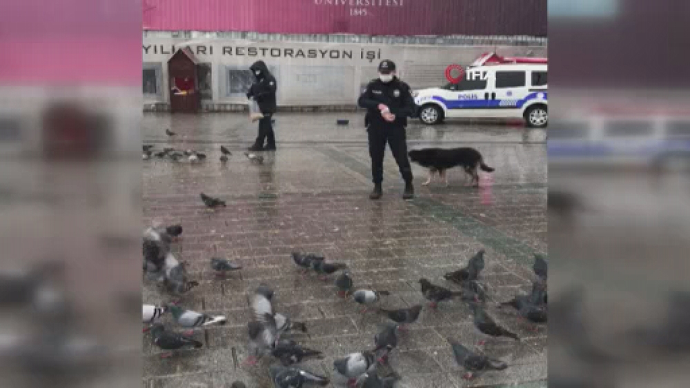 Polislerden örnek davranış, kar yağışında sokak hayvanlarını beslediler