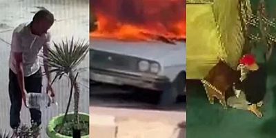 Psikolojisi bozuk maşalar dönemi!