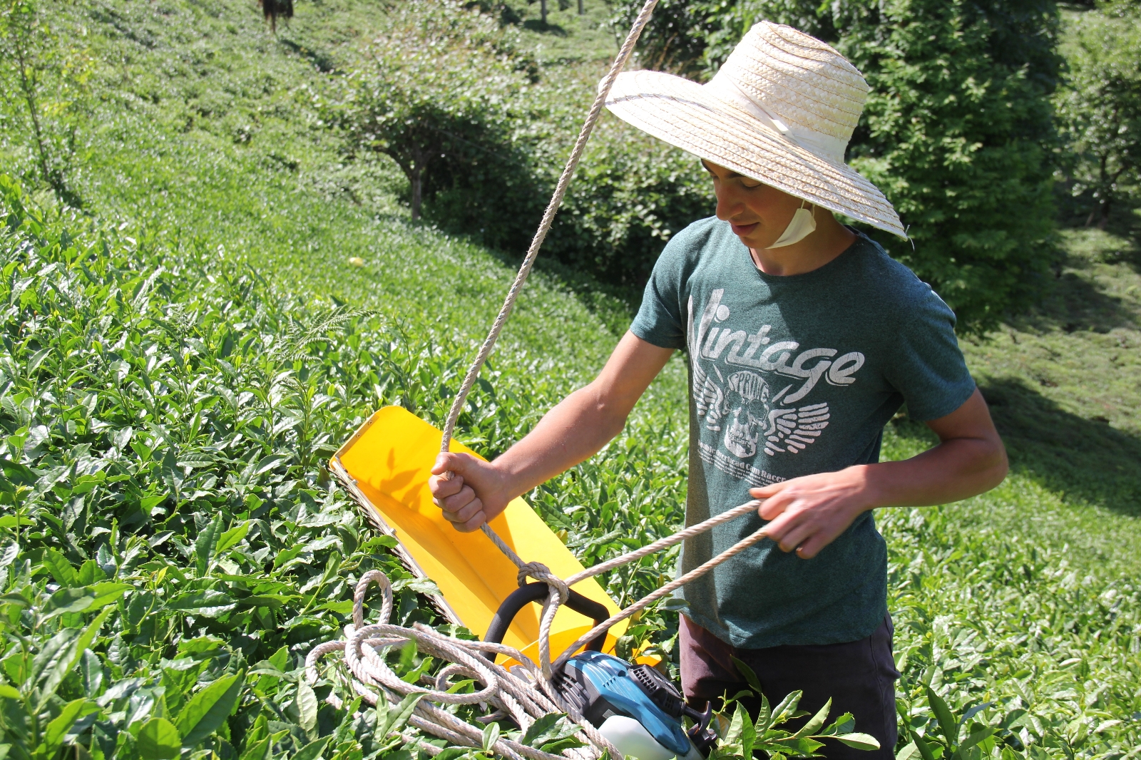 Rizeli kıvrak zekası ile çay toplamayı kolaylaştırdı
