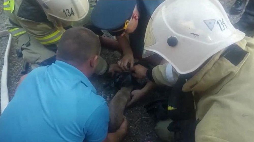 Rus itfaiyeciler köpeği hayata döndürdü