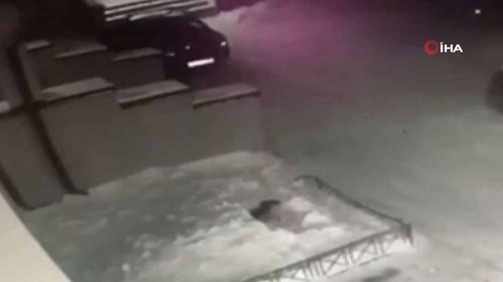 Rusya’da 4’ncü kattan düşen çocuğu yerdeki kar birikintisi kurtardı