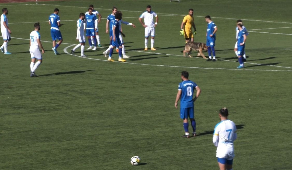 Sahaya köpek girince maç 10 dakika durdu