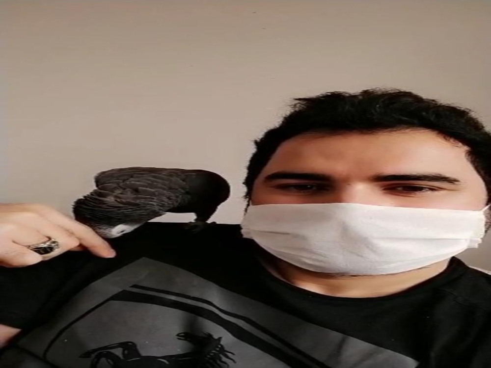 Sahibi korona virüse yakalanan papağan Pakize: “Evden çıkma, evde kal”