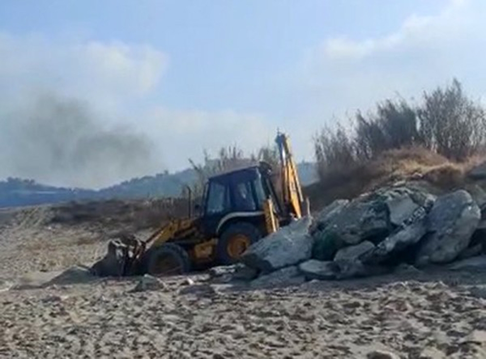 Sahile giren kepçe katliam yaptı: Çevreciler ayağa kalktı