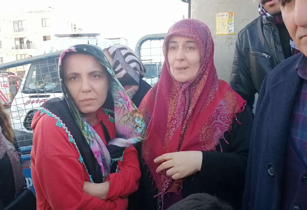 Şahin ailesi: 