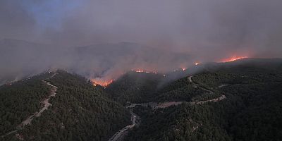 Sakarya'da başlayıp Bilecik'e sıçrayan yangın devam ediyor
