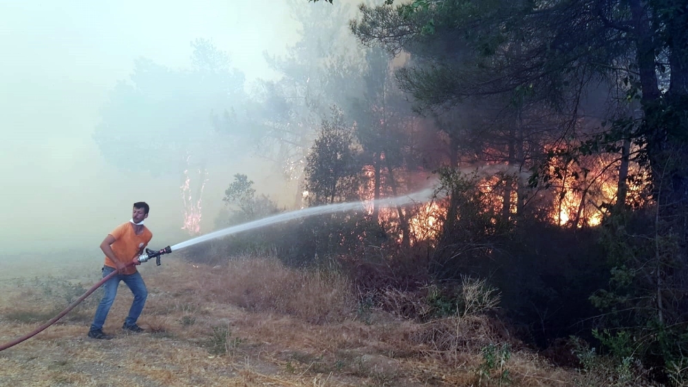 Sakarya’da orman yangını