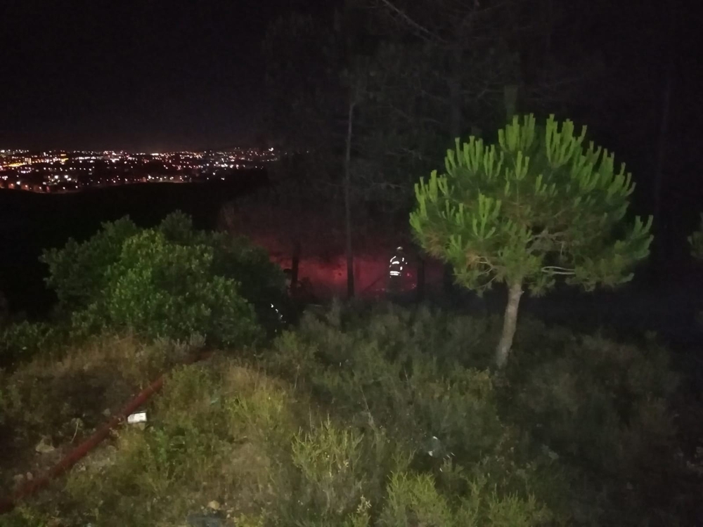 Sanayi içindeki ormanlık alanda çıkan yangın yürekleri ağza getirdi