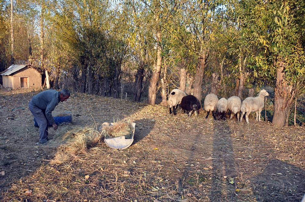 ‘Sarı Kız’ın sahibi Mehmet Emin Amca artık çok mutlu