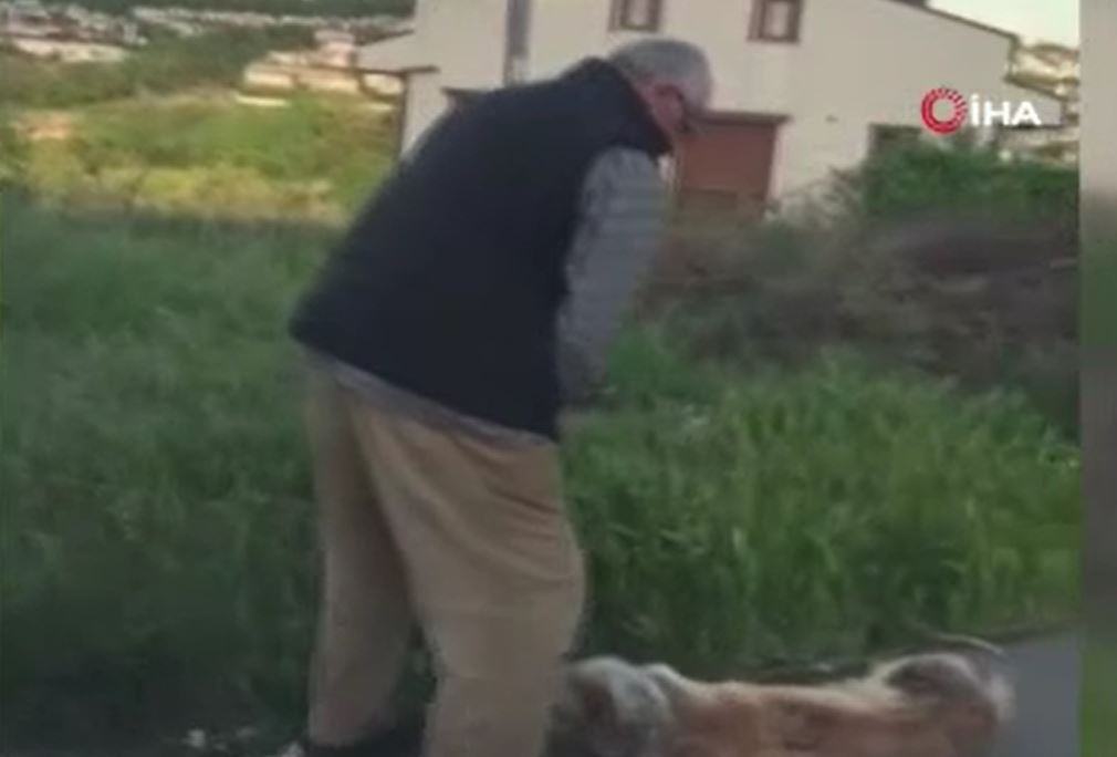 Sarıyer’de bağladığı köpeği sürükleyerek çöpe atan şahıs yakalandı