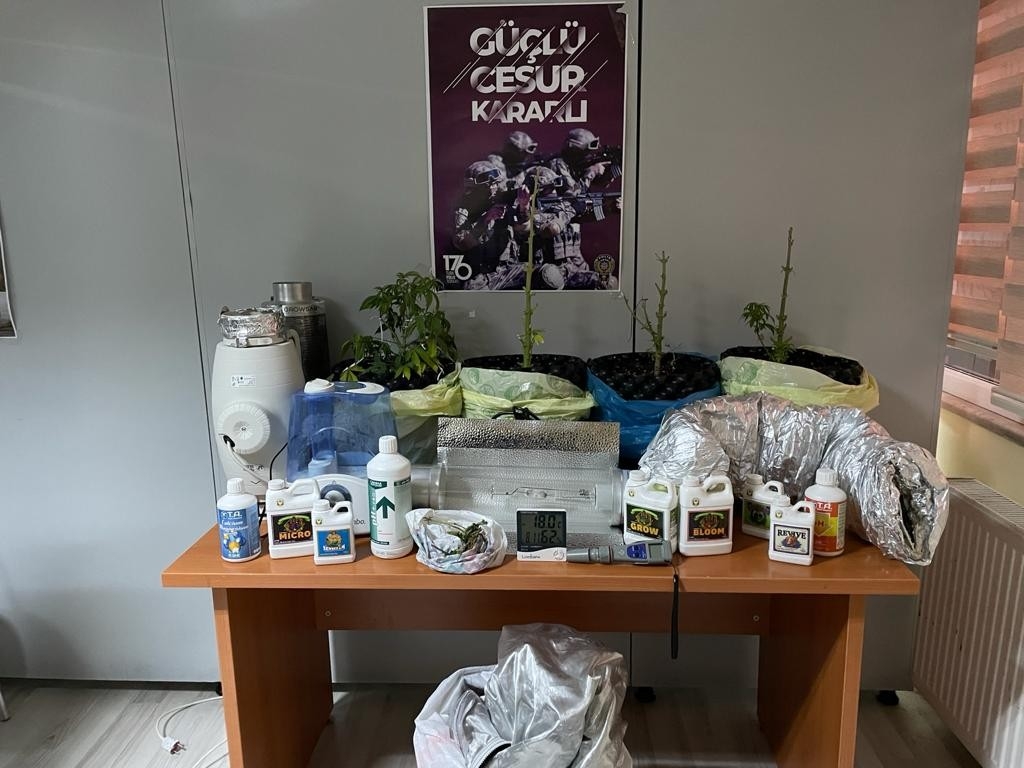 Sarıyer’de “saksıda hint keneviri” operasyonu
