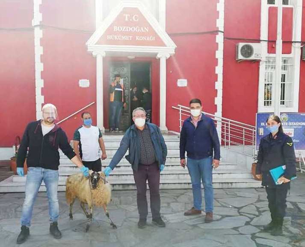 Şehit ailesi kampanyaya koyunlarını bağışladı