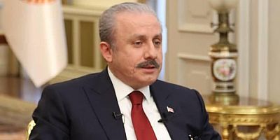 Şentop'tan MOBESE açıklaması: İncelenmeli, hukuki süreç başlayacak