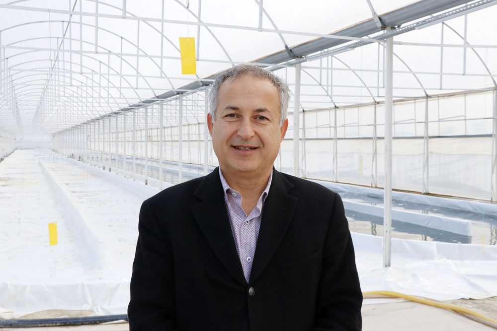 Serada ürettiği yosunu 6 ülkeye ihraç ediyor