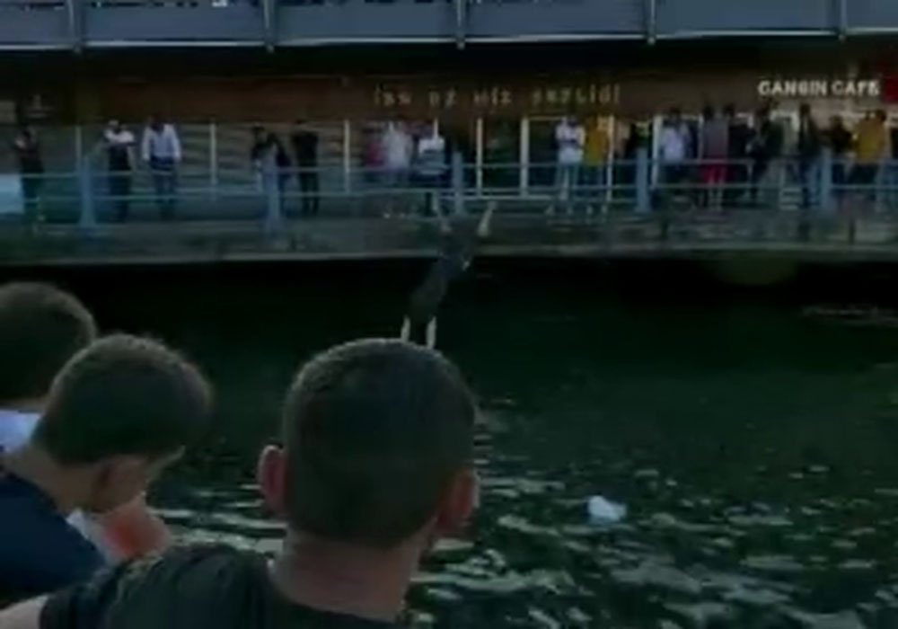 Serinlemek için Galata Köprüsünden atladılar