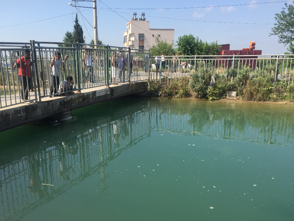Serinlemek için sulama kanalına giren genç kayboldu