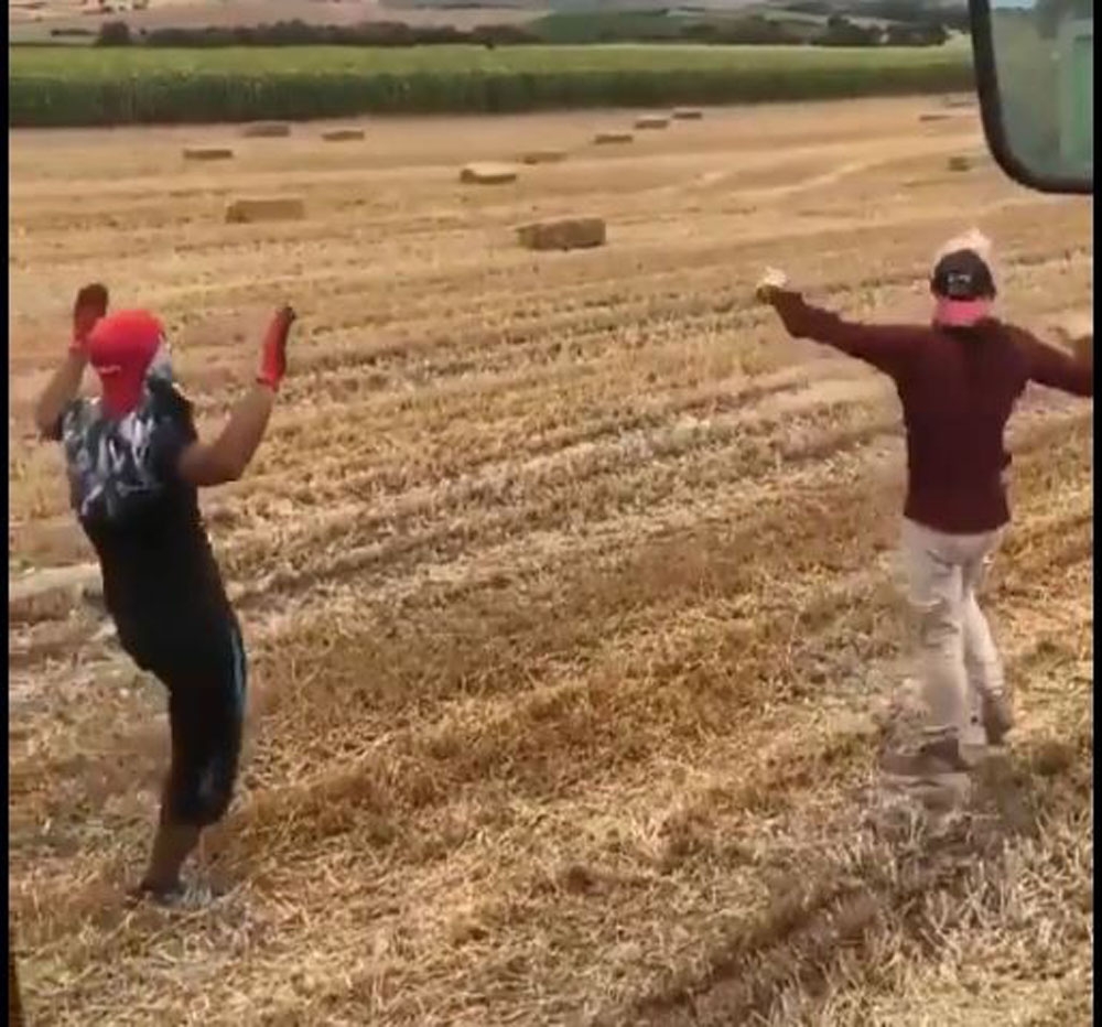 Sıcaktan bunalınca tarlada göbek atıp oynadılar