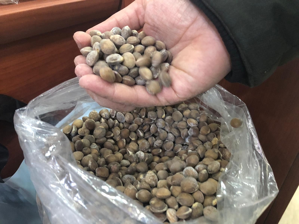 Siirt Bıttımı Altın Fiyatını Geçti