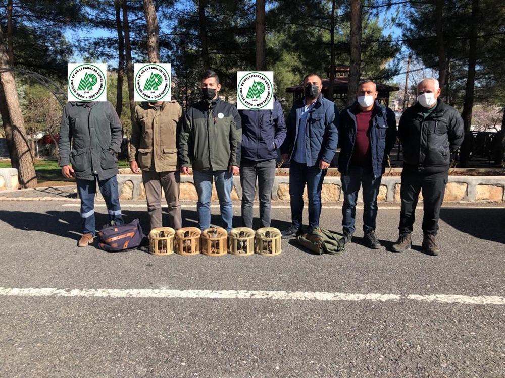 Siirt’te kaçak avcılık yaptığı tespit edilen 3 şahıs hakkında tutanak tutuldu