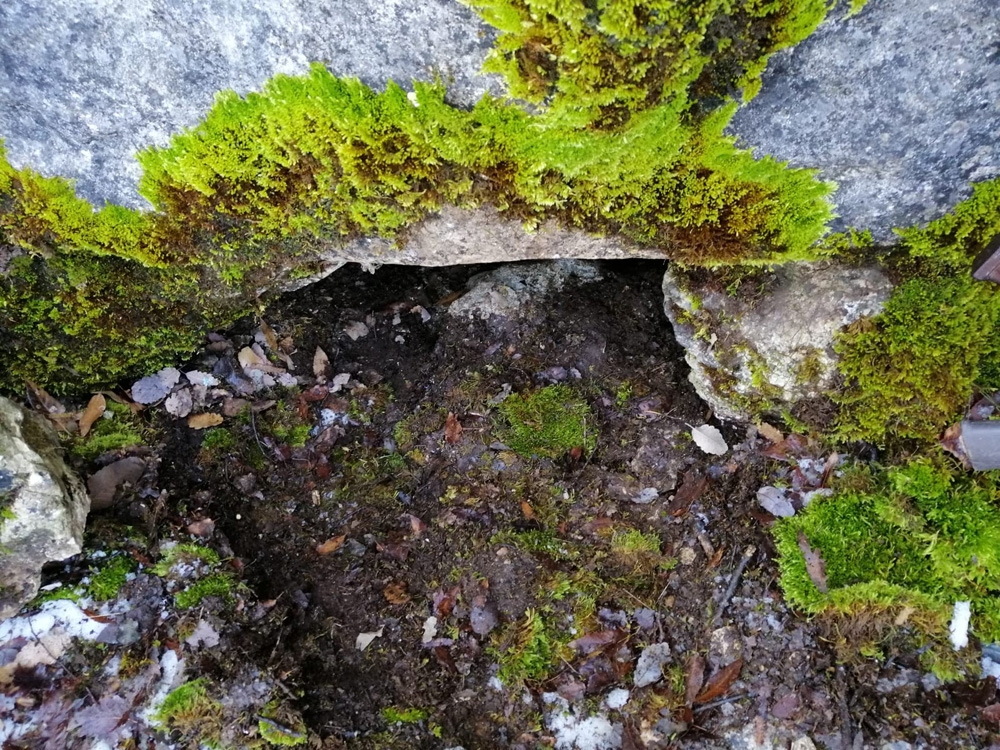 Siirtte Pkklı Teröristlerin Kış Yapılanmasına Darbe