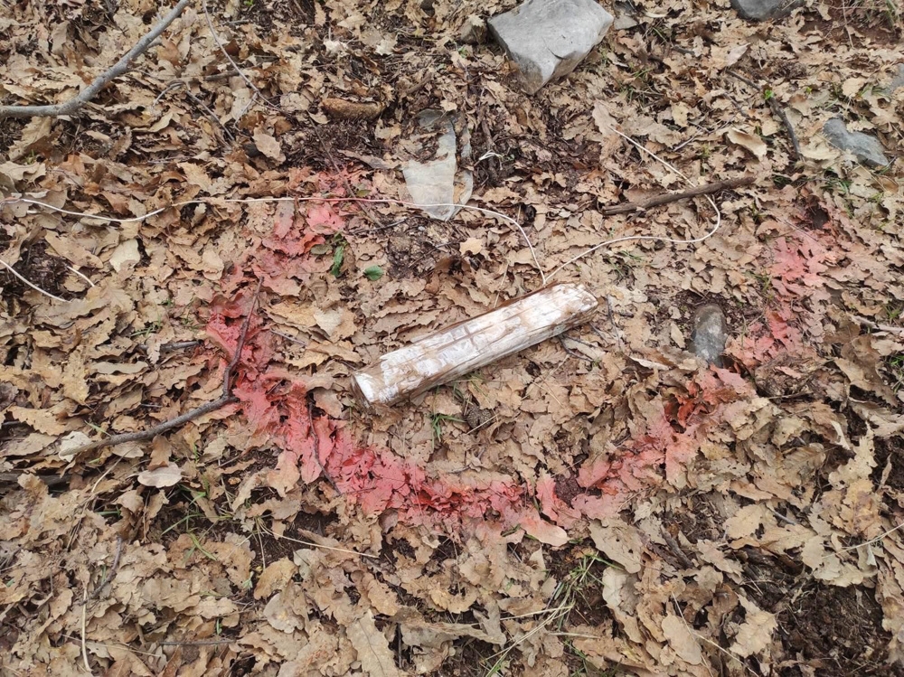 Siirt’te PKK’lı teröristlerin tuzağı son anda önlendi